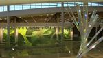 Dinding Bandara Ini Dibikin Taman Vertikal, Intip Yuk