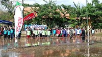 Sementara itu, upacara bendera peringatan HUT ke 74 Republik Indonesia juga diikuti oleh penyuluh lapangan dan pejabat dari Dinas Pertanian Banyuwangi. Mereka membaur bersama petani di sawah yang penuh lumpur.