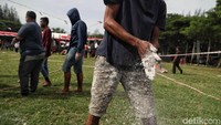 Sebelum memulai perlombaan, para peserta tarik tambang itu menaburkan tepung di tangan mereka agar tak mudah licin saat menarik tali tambang.