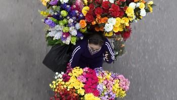 Fotografer yang dimaksud bernama Loes Heerink. Foto: Loes Heerink
