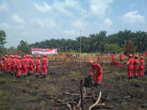 Video Upacara HUT RI di Lahan yang Menghitam karena Kebakaran Hutan
