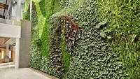 Seluruh tanaman yang ditanam di bandara ini adalah tanaman hidroponik atau tidak menggunakan tanah sebagai media tanamnya. Istimewa/Dok. Inhabitat.