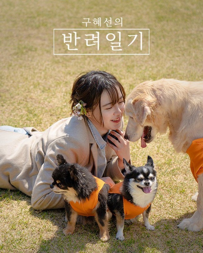 Penulis & SutradaSelain menjadi aktris, wanita berwajah imut pun adalah seorang penulis dan sutradara. Ia telah menelurkan sejumlah buku dan menyturadai sejumlah film pendek. Hye Sun pun disibukkan dengan kegiatan amal. Wanita yang cantik luar dan dalam ini fokus dengan kegiatan amal untuk penderita kanker. Foto: dok. Instagram @kookoo900