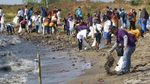Aksi Bersih-bersih Pantai Ancol Dalam Rangka HUT RI