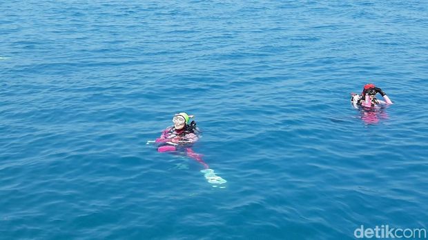 Lestarikan Lingkungan Laut, Bhayangkari Gelar Aksi Bersih-bersih Laut