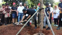 Foto: Anies menanam bugenvil di Jalan Jenderal Sudirman (dok. Pemprov DKI Jakarta)