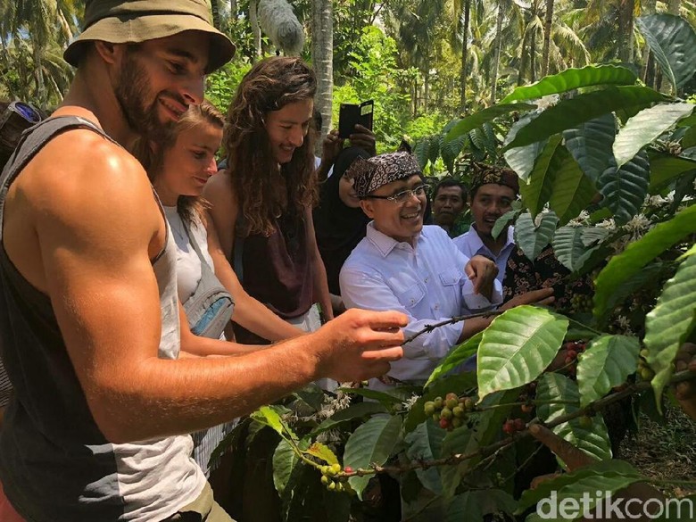 Festival Petik Kopi Banyuwangi Hadirkan Sensasi Bangunan Kolonial Belanda Festival Petik Kopi Banyuwangi Hadirkan Sensasi Bangunan Kolonial Belanda
