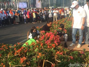 Anies Tanam Bugenvil untuk Atasi Polusi, Ampuhkah?