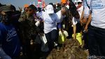 Momen Menteri Susi Bersih-bersih Pantai Timur Ancol