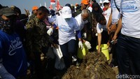 Sampah kemudian dikumpulkan dalam satu lokasi.