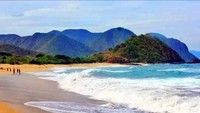 Melihat lumba-lumba bermain, melompat dan berkejaran langsung di laut memang seru. Kalau liburan ke Bima, NTB, kamu bisa mencobanya di Pantai Wane. (dok. Pokdarwis La-Bibano Wane)