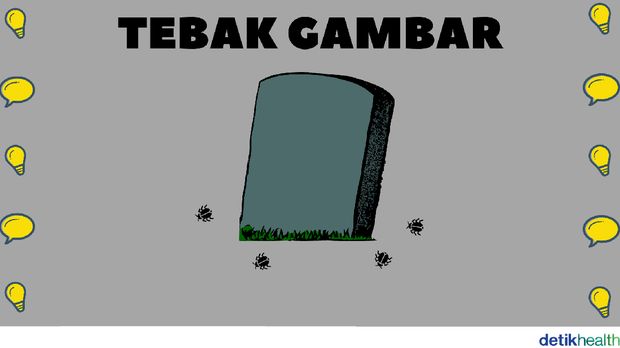 Tebak Gambar Tebak gambar detikhealth.