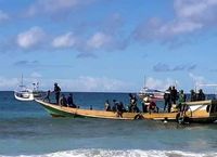 Bermain Bersama Lumba-lumba di Pantai Wane, Bima