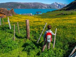 Pesona Greenland, Pulau yang Disinari Matahari 2 Bulan