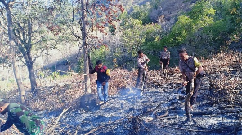 1,5 Hektare Lahan di Bima NTB Terbakar, Seorang Warga Ditangkap Polisi 1,5 Hektare Lahan di Bima NTB Terbakar, Seorang Warga Ditangkap Polisi
