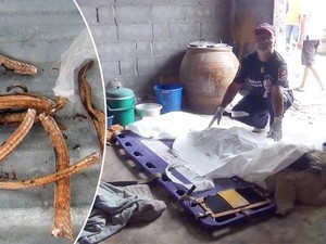 Waduh! Pria Thailand Ini Tewas Setelah Makan Katak Beracun