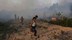 Petugas Hingga Anak-anak Berjibaku Padamkan Karhutla di Palembang