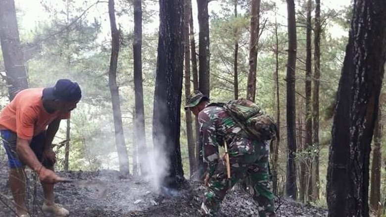 Dua Kebakaran Hutan Terjadi di Trenggalek dalam Sehari