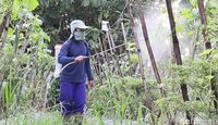 7 Alasan Buah dan Sayur Segar dari Supermarket Bisa Bikin Sakit