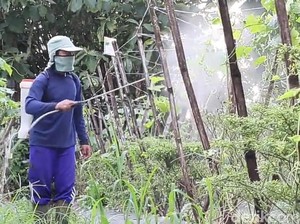 Wow, Petani Blitar Racik Pestisida Organik Ekonomis dan Ramah Lingkungan