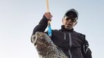 Foto Sisi Lain Greenland yang Belum Kamu Tahu