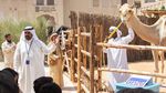 Foto: Belajar Islam yang Damai di Dubai