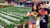 Bryan eksis di Instagram dengan lebih dari 3 juta followers. Begini nih gaya imutnya usai petik strawberry. Foto: Instagram bryandomani_bd_
