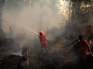 BMKG: Titik Panas Masih Terdeteksi di RI dan Sejumlah Negara ASEAN