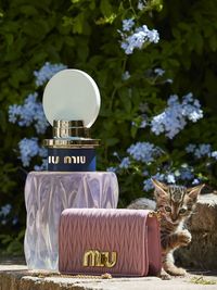 Rekomendasi Parfum Sesuai dengan Destinasi Liburan Impian Kamu