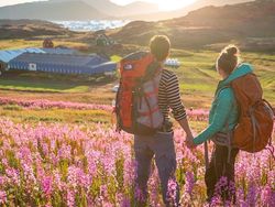 Pesona Greenland, Pulau yang Disinari Matahari 2 Bulan