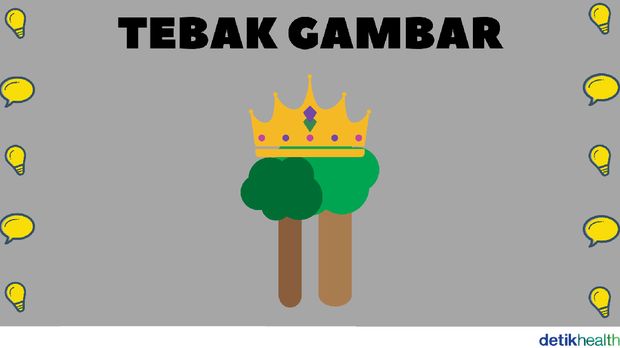 Tebak Gambar Tebak gambar detikhealth.
