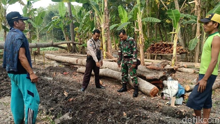 Bendera Merah Putih Sepanjang 20 Meter Ditemukan Tertimbun Tanah