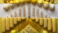 Lemon, jagung, dan pisang menjadi elemen yang saling menyatu. Lihat saha peralihan bahan-bahan ini dari tak dikupas sampai terkupas. Duh, keren banget! Foto: Adam Hillman/Instagram witenry