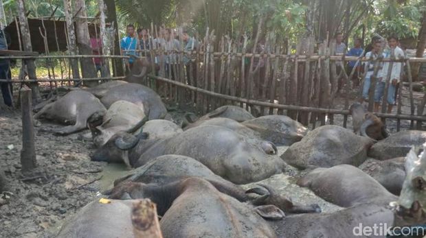 Sambaran Petir Maut di Sumut