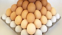 Saya tumbuh dengan kecintaan akan sejarah seni, jadi wajar rasanya saya ingin membuat karya seni sendiri, kata Adam. Ia pun memilih makanan sebagai salah satu bahan yang mencerminkan waktu kehidupannya. Foto: Adam Hillman/Instagram witenry
