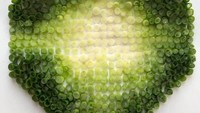 Siapa sangka potongan daun bawang dalam beragam bentuk dan warna ini sangat cantik begitu disusun. Adam lagi-lagi membuktikan kejeliannya dalam memanfaatkan makanan sehar-hari. Foto: Adam Hillman/Instagram witenry