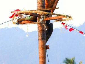 Dipuncak Kemenangan