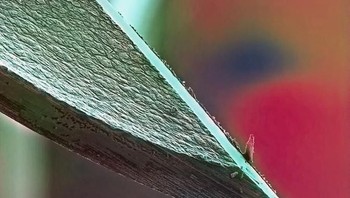 Ini adalah penampakan ujung suntikan jarum. (Foto: Brightside)