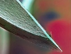 Foto-foto Penampakan Unik yang Mungkin Disangka Fiktif