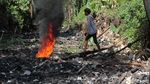 Penampakan Pulau Sampah Bak Reklamasi di Kalibaru Bogor