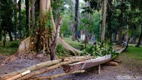 Pacu jalur merupakan lomba mendayung dengan menggunakan perahu panjang yang terbuat dari kayu pohon dan berlokasi di sungai (Chaidir Anwar Tanjung/detikcom)