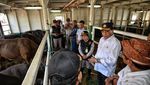 Masih Ingat Kapal Ternak? Ini Penampakannya Terkini