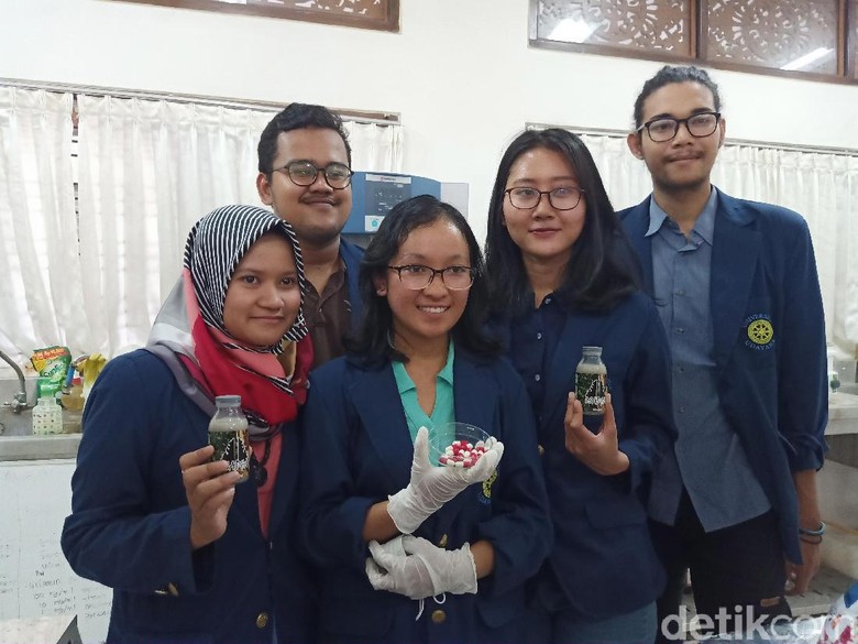 Keren! Mahasiswa Universitas Udayana Bikin Obat Antidepresi dari Krokot Keren! Mahasiswa Universitas Udayana Bikin Obat Antidepresi dari Krokot