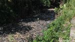 Penampakan Pulau Sampah Bak Reklamasi di Kalibaru Bogor