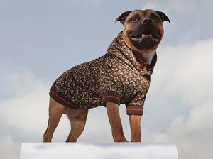 Burberry Rilis Jaket Stylish Khusus Anjing Seharga Rp 5,4 Juta