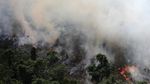 Hutan Amazon Alami Kebakaran Terburuk Tahun Ini