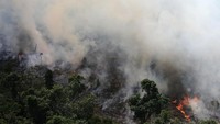 Institut Nasional untuk Riset Antariksa (Inpe) mengatakan data satelitnya menunjukkan insiden kebakaran hutan meningkat 83% dibandingkan jumlah dalam periode yang sama pada 2018. REUTERS/Nacho Doce.