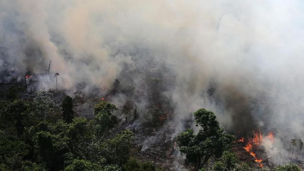 Kebakaran hutan Amazon /