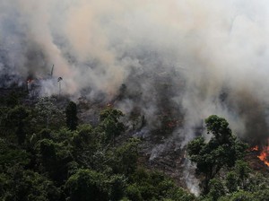 Kisah Sedih Amazon, Hutan Penuh Misteri yang Terbakar