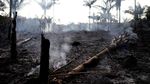 Hutan Amazon Alami Kebakaran Terburuk Tahun Ini